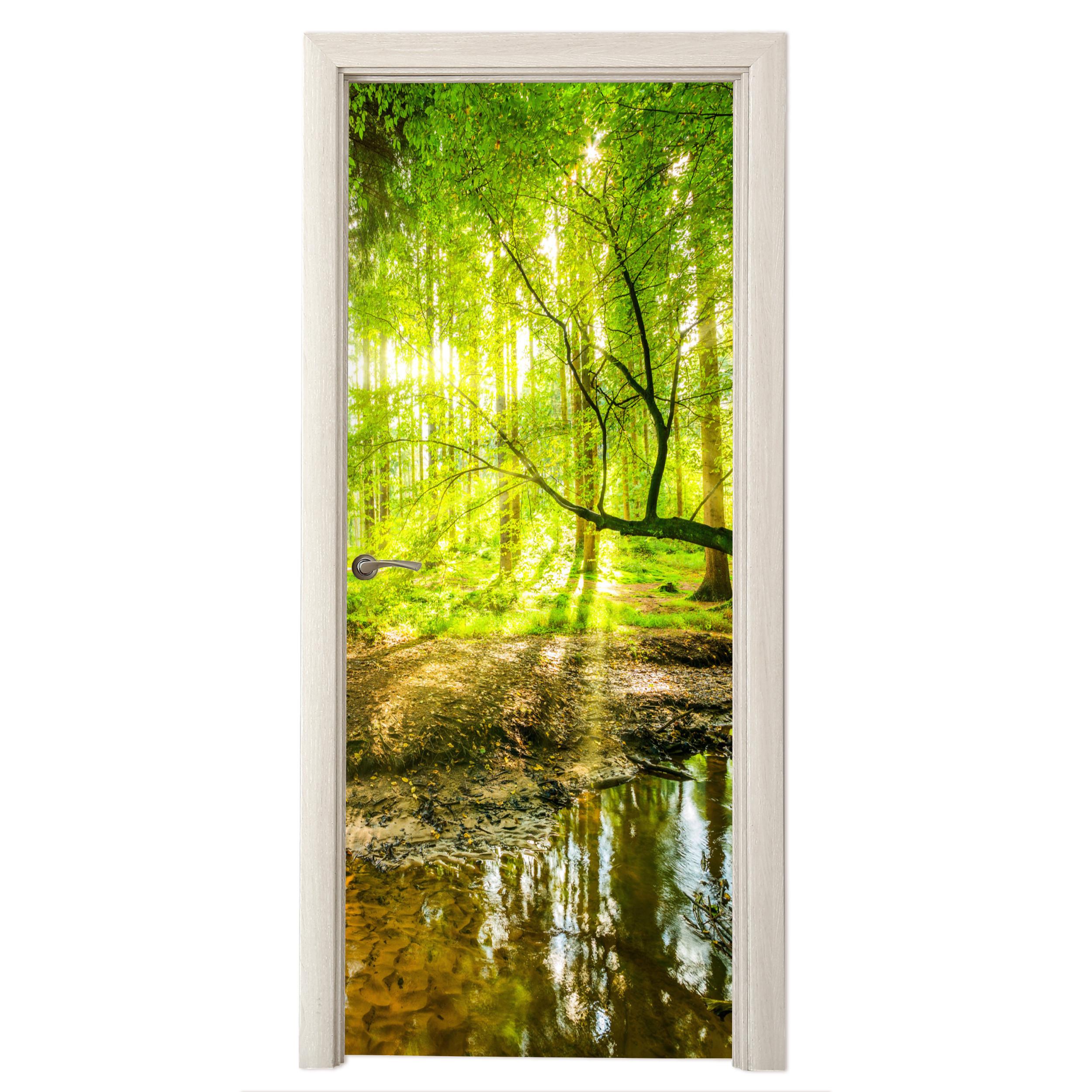 TÜRAUFKLEBER Wald - Landschaft - Wasser - Bäume - Sonne - Grün - Natur Fototapete 75x205 cm - Türtapete - Hellgrün, Kunststoff (75/0.1cm) - MuchoWow
