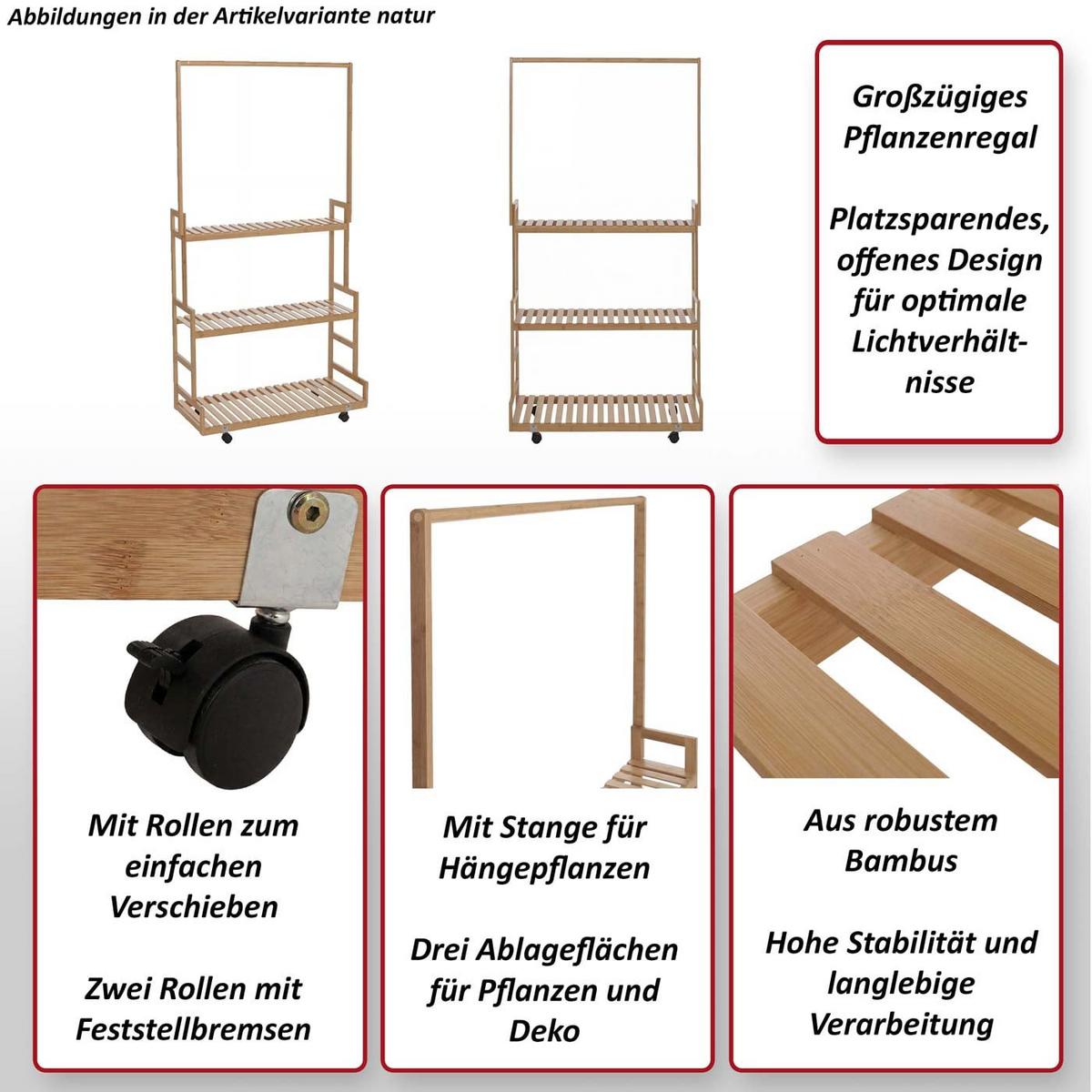 PFLANZENREGAL Weiß - Weiß, Holz (93/175/38cm) - MCW