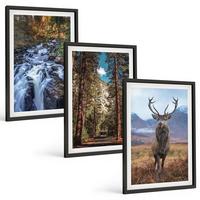 BILDER SET 3er Set - 40x60 cm Schwarzer Rahmen - Wasserfall Wald Berge Hirsch Natur - Schwarz, Kunststoff (40/60cm) - TULUP