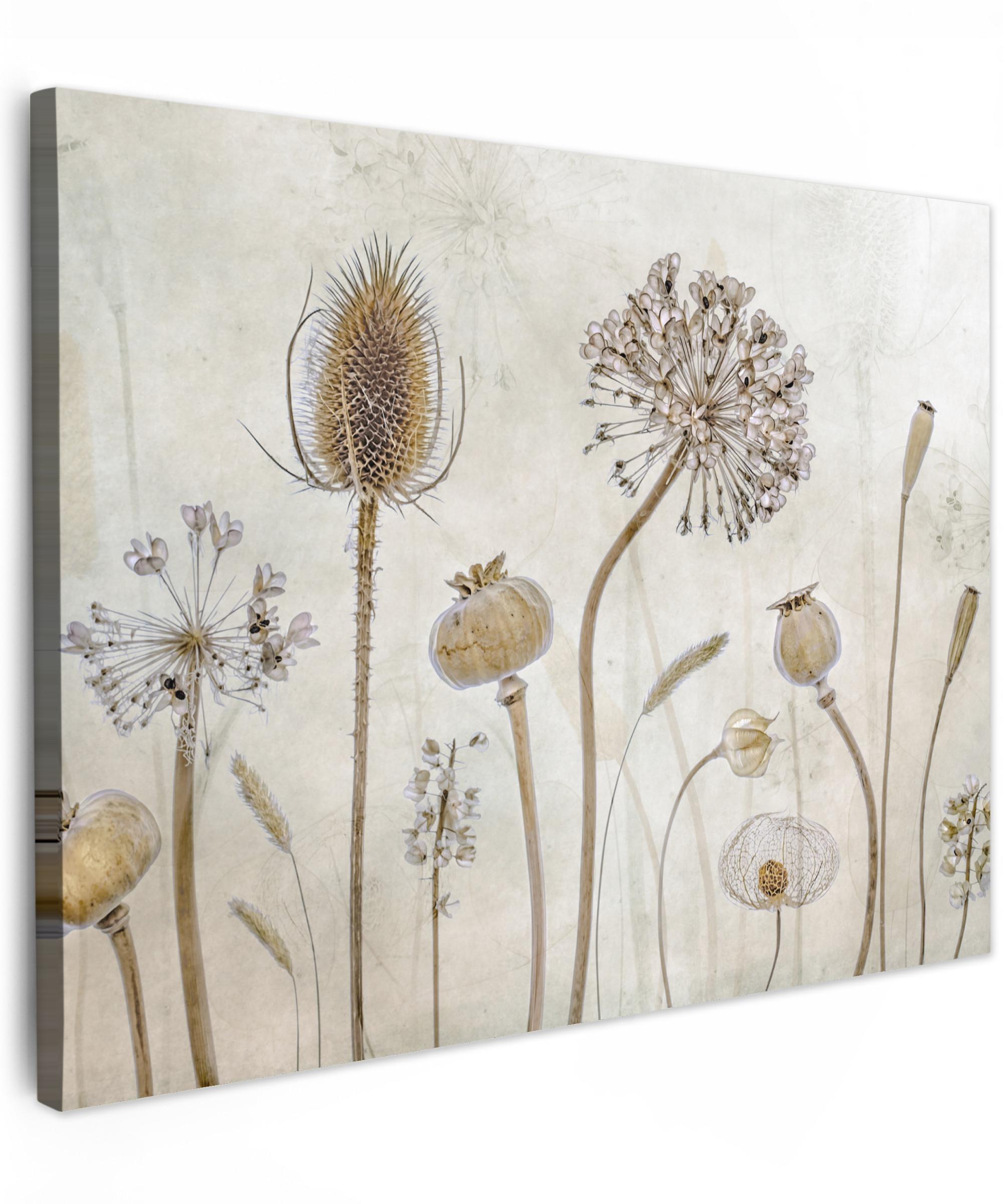 LEINWANDBILD Blumen - Aquarell - Stilleben - Braun - Vintage Wandbild 40x30 cm - Beige, Textil (40/30cm) - MuchoWow