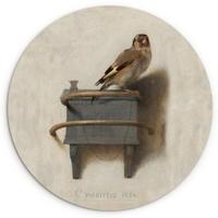 WANDBILD Stieglitz - Alter Meister - Carel Fabritius Wandbild 120x120 cm - Grau, Kunststoff (120/120cm) - MuchoWow