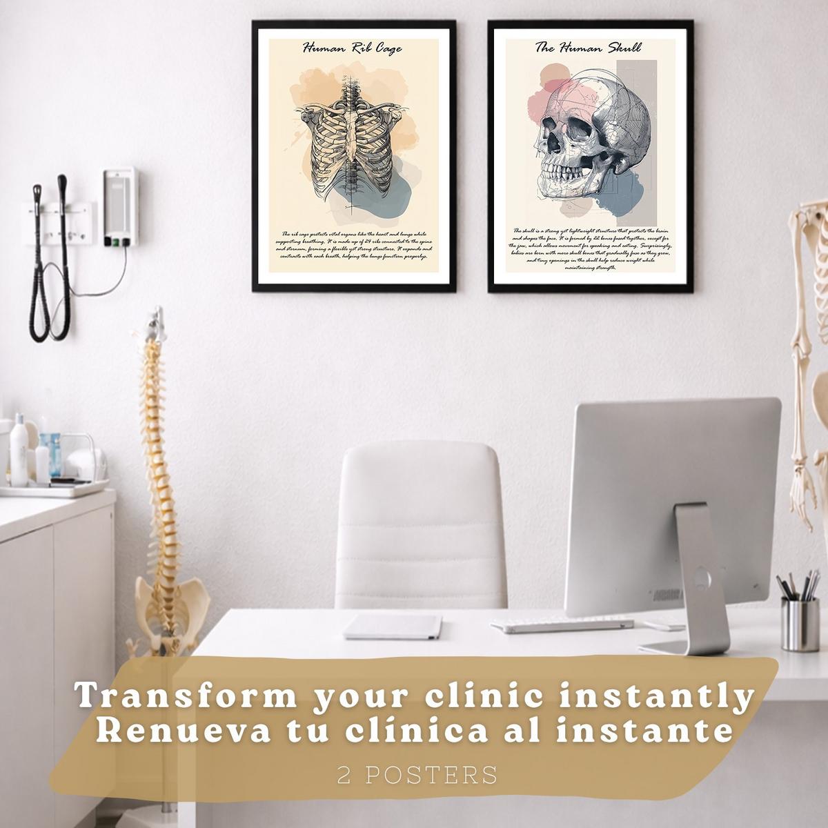 POSTER Set aus 2 Anatomie Mensch Lernposter Drucke und Wandbilder mit Skelett Rippen und Schädel Klinik Büro Dekoration Größe Schwarzer Rahmen A3 - Schwarz, Papier (29.7/42/3cm) - Nacnic