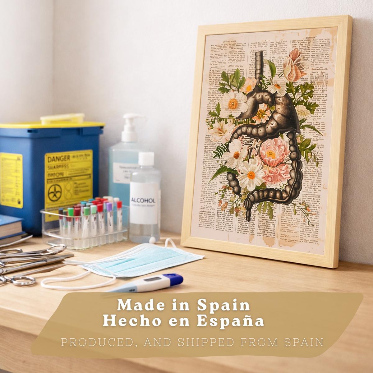 POSTER Set aus 2 Anatomie Mensch Drucke und Wandbilder mit Verdauungssystem Darm und Herz Klassisches Florales Design Größe Leichter Holzrahmen A4 - Beige, Papier (21/29.7/3cm) - Nacnic