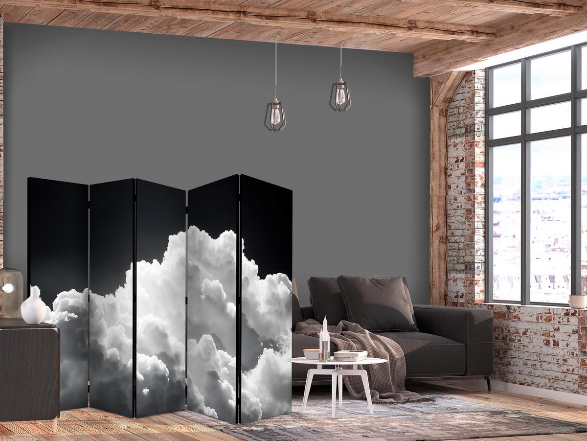 PARAVENT Beidseitig Bedruckter 5-tlg 225x172 cm Schwarz-Weisser Himmel - Schwarz, Holz/Textil (225/172/3cm) - Muralo