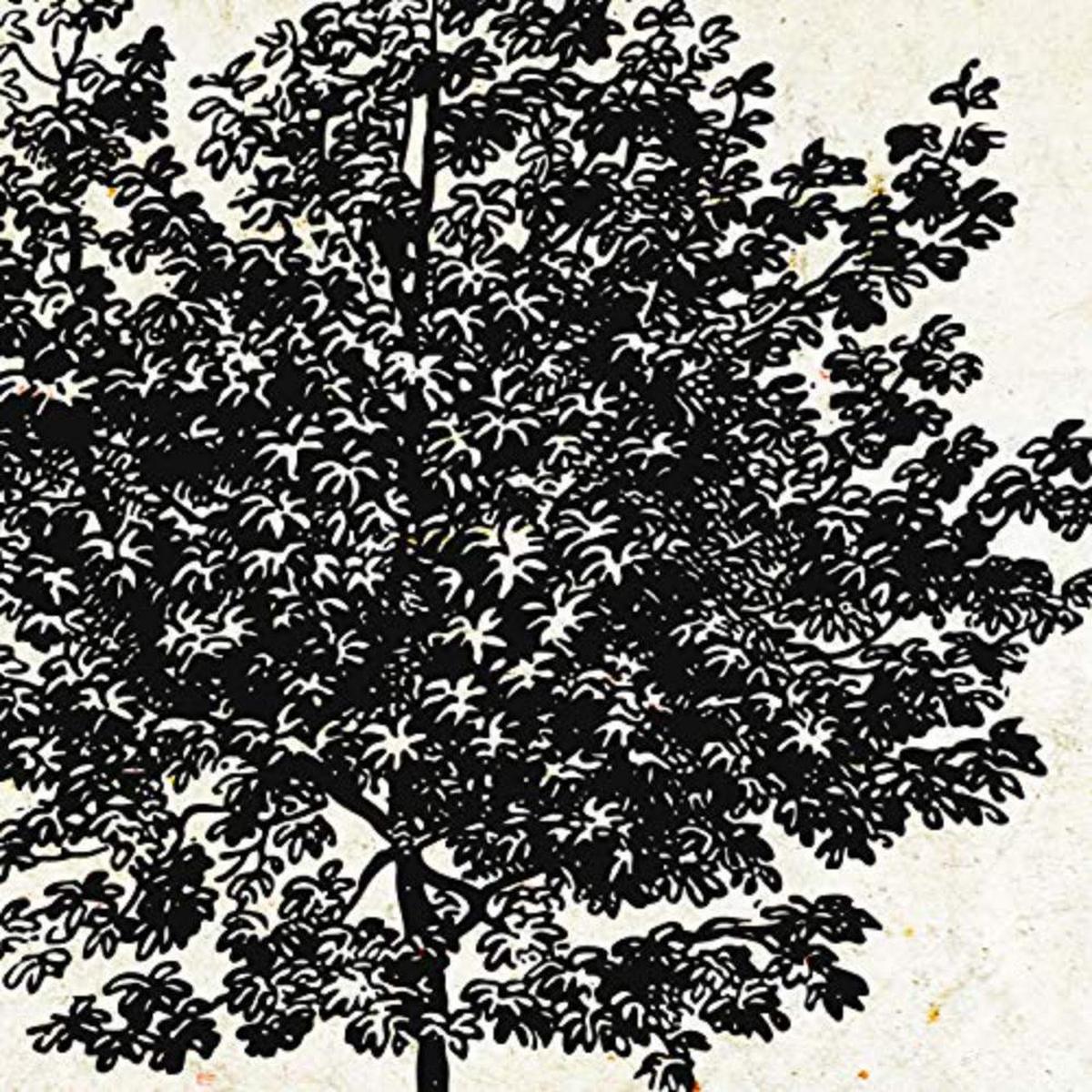 POSTER Set mit 4 Blättern der Grove Jahrgang Hintergrund 20x20cm Schwarzer Rahmen - Schwarz, Papier (20/3cm) - Nacnic