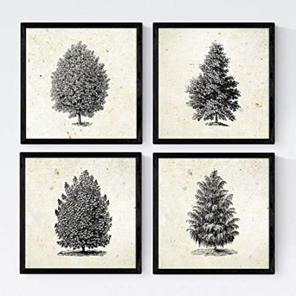 POSTER Set mit 4 Blättern der Hohe Bäume Jahrgang Hintergrund 20x20cm Schwarzer Rahmen - Schwarz, Papier (20/3cm) - Nacnic