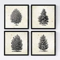 POSTER Set mit 4 Blättern der Hohe Bäume Jahrgang Hintergrund 20x20cm Schwarzer Rahmen - Schwarz, Papier (20/3cm) - Nacnic