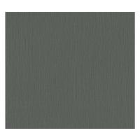 VLIESTAPETE Schwarz 53/1005 cm - Schwarz, Textil (53/1cm) - KUNSTLOFT
