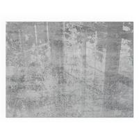 GLASPLATTE für Kamin 80x60 cm - Grau, Glas (80/60/0.4cm) - TULUP