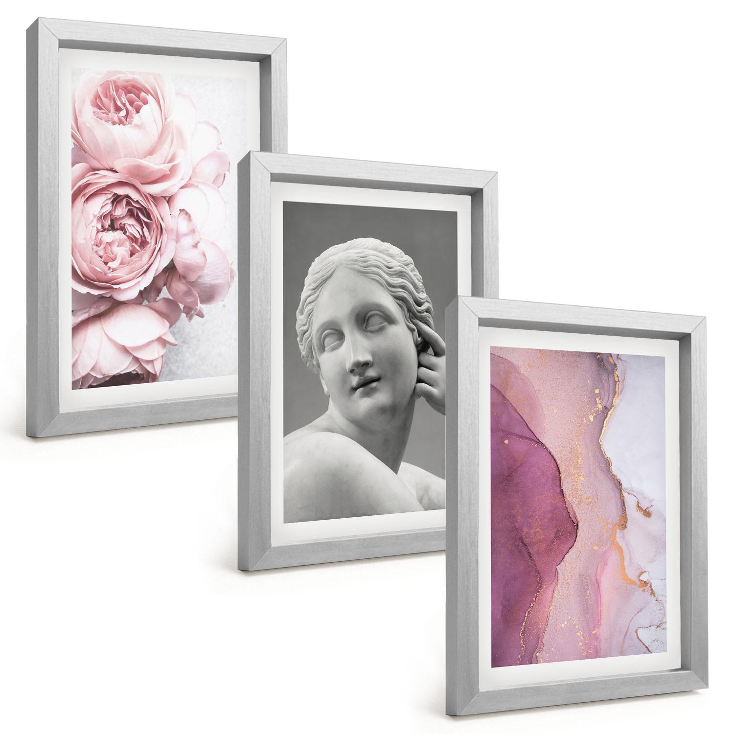 BILDER SET 3er Set - 20x30 cm Silberner Rahmen - Pfingstrosen abstrakte Frauenskulptur - Silberfarben, Kunststoff (20/30cm) - TULUP