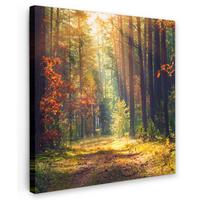 LEINWANDBILD Wald - Herbst - Bäume Deko Wohnzimmer 20x20 cm - Dunkelgrün, Textil (20/20cm) - MuchoWow