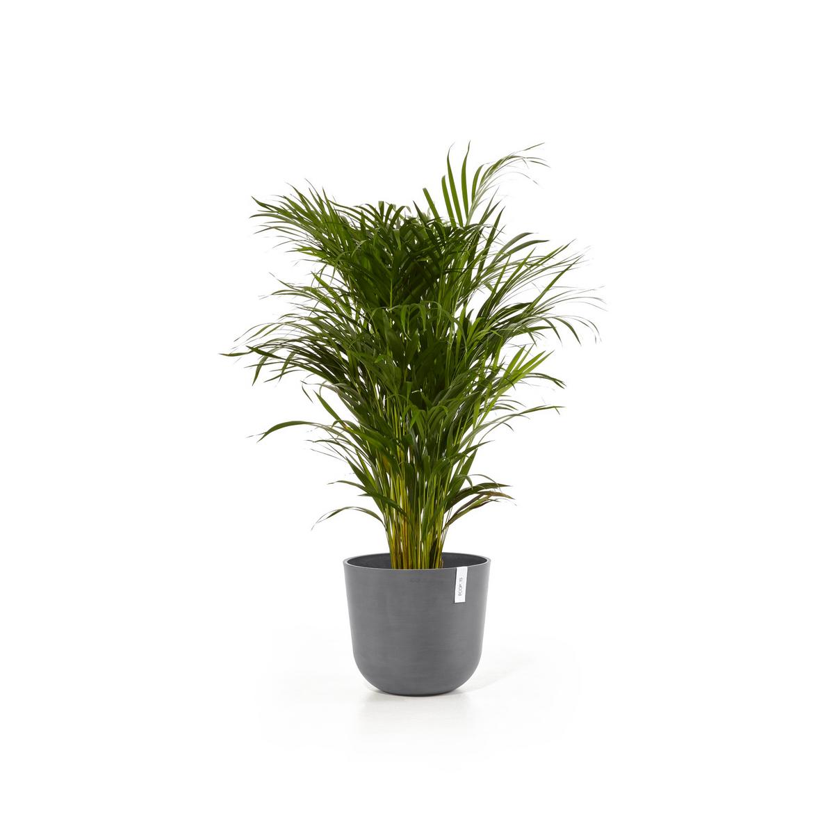 BLUMENTOPF Oslo 35/30,5 cm Grau - Grau, Kunststoff (35/30.5cm) - Ecopots