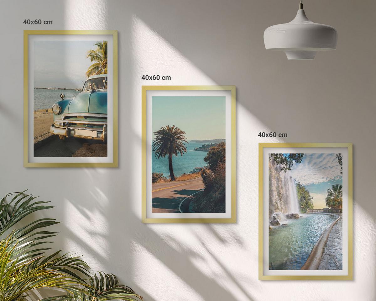 BILDER SET 3er Set - 40x60 cm Goldrahmen - Urlaub Palmen Wasserfall - Goldfarben, Kunststoff (40/60cm) - TULUP