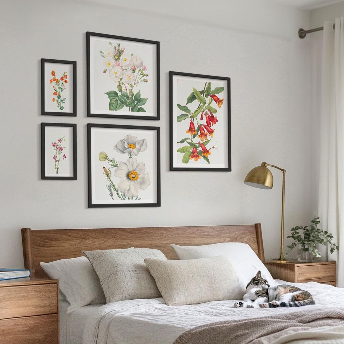 BILDER SET 5er Set - 50x50 cm & 20x30 cm & 40x60 cm Schwarzer Rahmen - Blumenmalerei im Retro-Stil - Schwarz, Kunststoff (40/60cm) - TULUP