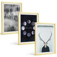 BILDER SET 3er Set - 40x60 cm Goldrahmen - Waldlandschaft, Nebel, Mond, Hirschschädel - Goldfarben, Kunststoff (40/60cm) - TULUP