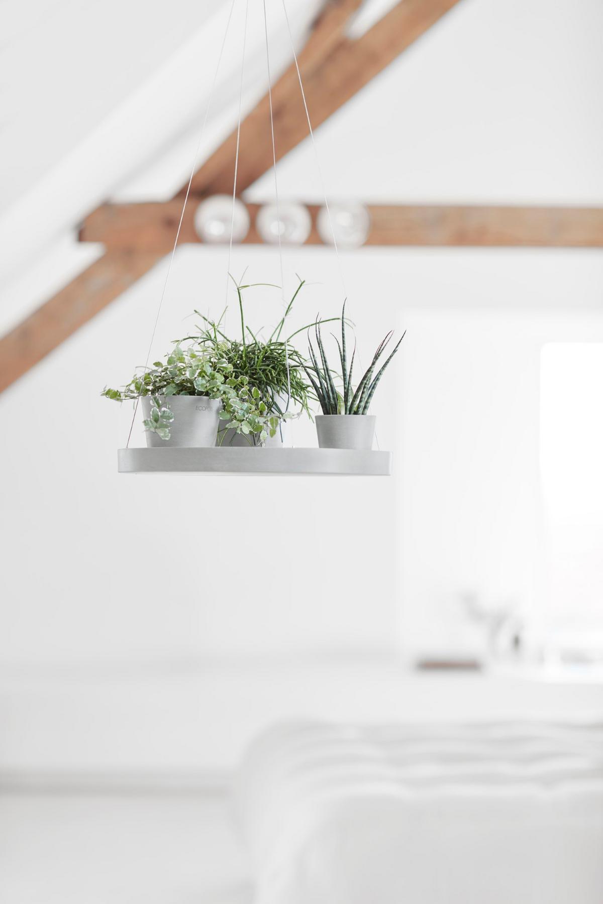 BLUMENTOPFUNTERSETZER Hängend 36/3 cm Hellgrau - Hellgrau, Kunststoff (36/3cm) - Ecopots