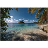 FOTOTAPETE Strand Palmen Blau 300x210 cm - Multicolor, Papier (300/210cm) - Wallarena