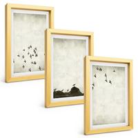 BILDER SET 3er Set - 20x30 cm Goldrahmen - Vögel im Flug, minimalistischer Stil - Goldfarben, Kunststoff (20/30cm) - TULUP