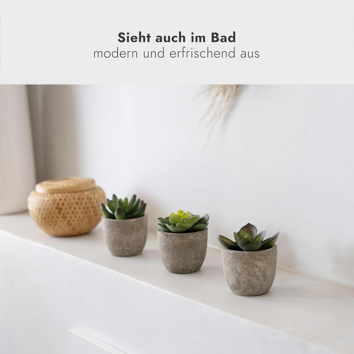 KUNSTPFLANZEN 6 Stück - Multicolor, Kunststoff (5cm) - addhome
