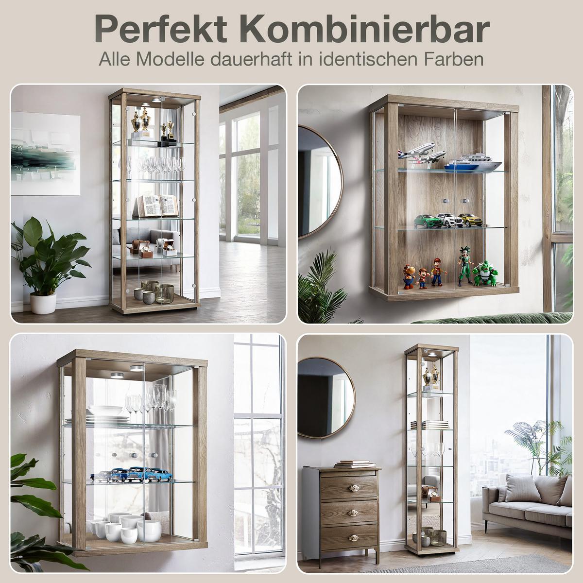 HÄNGEVITRINE 25/60/80 cm mit Spiegel, LED & 2 höhenverstellbaren Glasböden - Transparent/Silberfarben, Glas/Holzwerkstoff (60/80/25cm) - K-Möbel