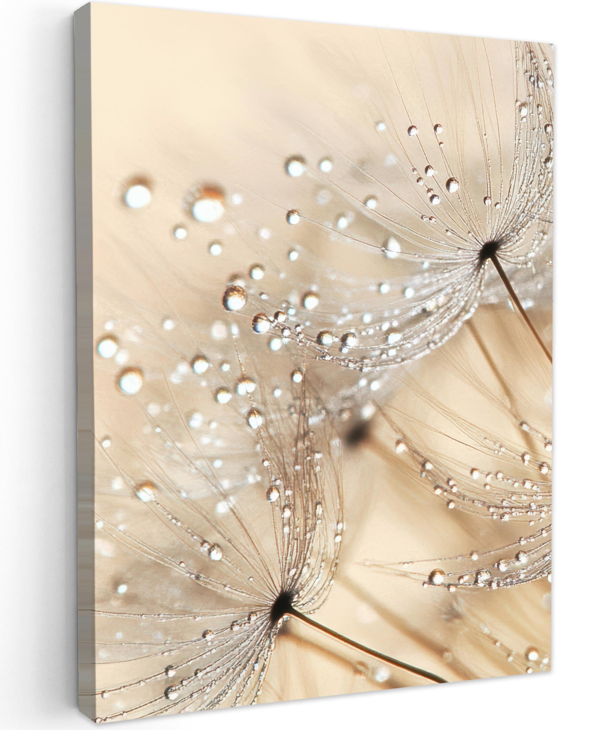 LEINWANDBILD Löwenzahn - Abstrakt - Natur - Beige Wandbild Wohnzimmer 60x80 cm - Braun, Textil (60/80cm) - MuchoWow