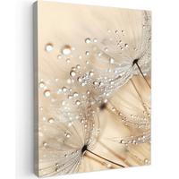 LEINWANDBILD Löwenzahn - Abstrakt - Natur - Beige Room Decor 30x40 cm - Braun, Textil (30/40cm) - MuchoWow