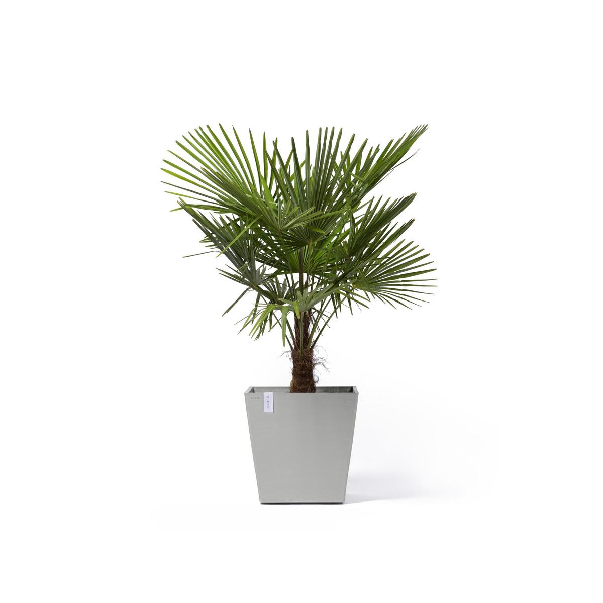 BLUMENTOPF Rotterdam Wheels 50,2/50,2/49,5 cm Hellgrau - Hellgrau, Kunststoff (50.2/49.5cm) - Ecopots