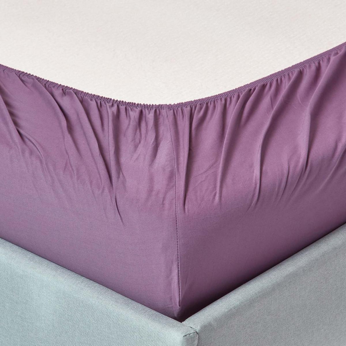 PERKAL-SPANNBETTLAKEN, Ägyptische Baumwolle, Fadendichte 200 - Lila, Textil (120/190cm) - Homescapes