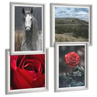 BILDER SET 4er Set - 50x50 cm & 40x60 cm Silberner Rahmen - Rote Rosen auf pferdegrauem Hintergrund - Silberfarben, Kunststoff (50/50cm) - TULUP