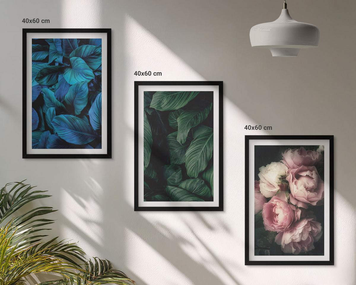 BILDER SET 3er Set - 40x60 cm Schwarzer Rahmen - Blätter, Blüten, verschiedene Farben - Schwarz, Kunststoff (40/60cm) - TULUP