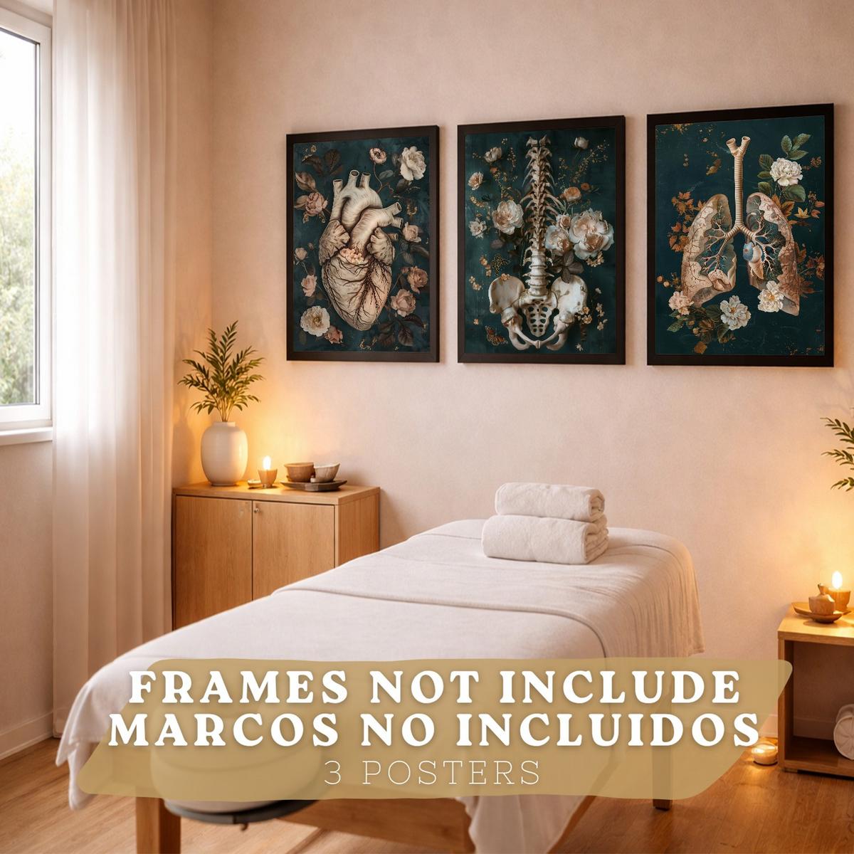 POSTER Set aus 3 Anatomie Mensch Drucke und Wandbilder mit Herz Atmungssystem und Skelett Botanischer Stil Wanddekoration Größe Rahmenlos A3 - Klar, Papier (29.7/42/3cm) - Nacnic
