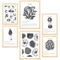 POSTER Set Mit 6 Pilzkomposition A3 & A4 Rahmen Aus Hellem Holz - Beige, Papier (29/3cm) - Nacnic