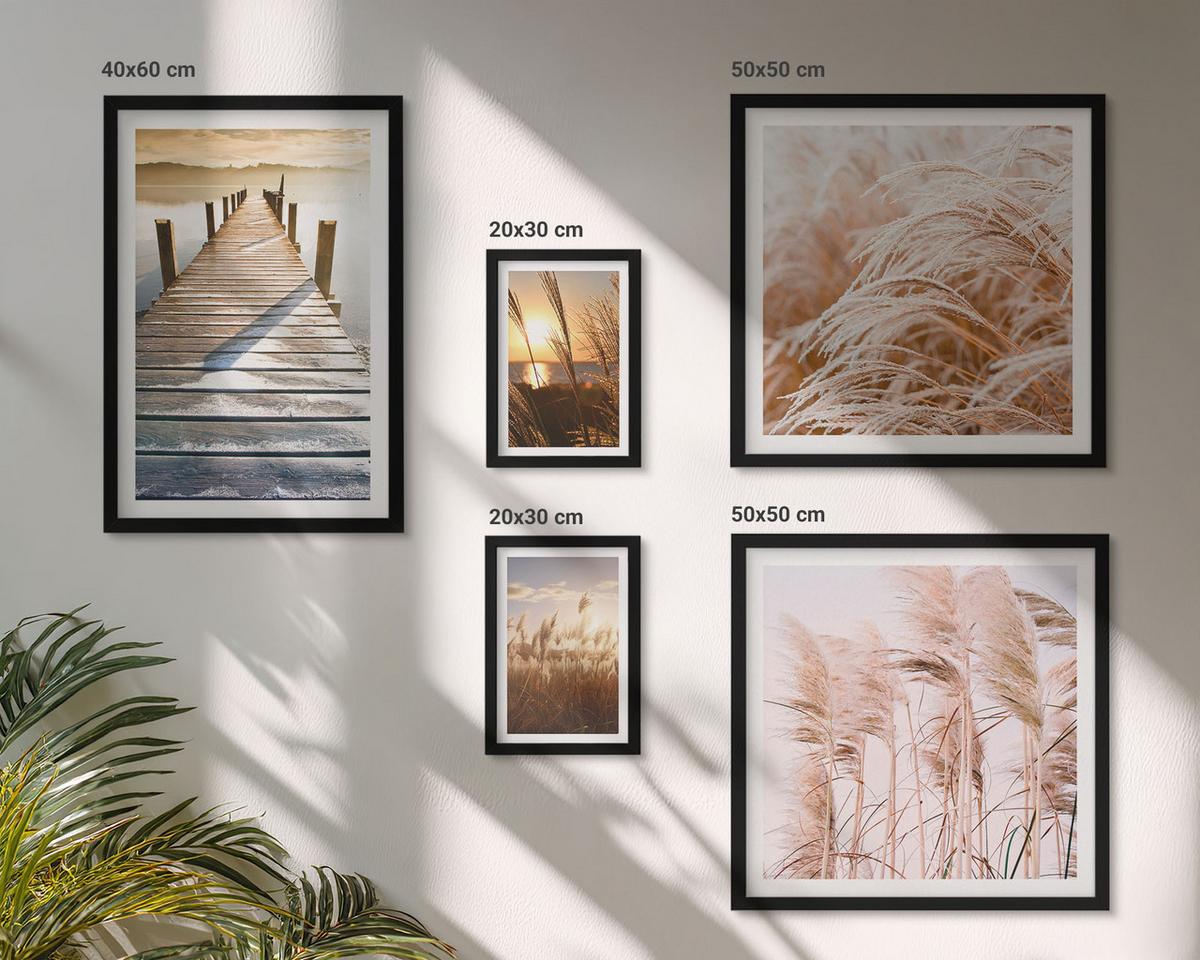 BILDER SET 5er Set - 50x50 cm & 20x30 cm & 40x60 cm Schwarzer Rahmen - Boho-Grasfeld-Sonnenuntergang - Schwarz, Kunststoff (40/60cm) - TULUP