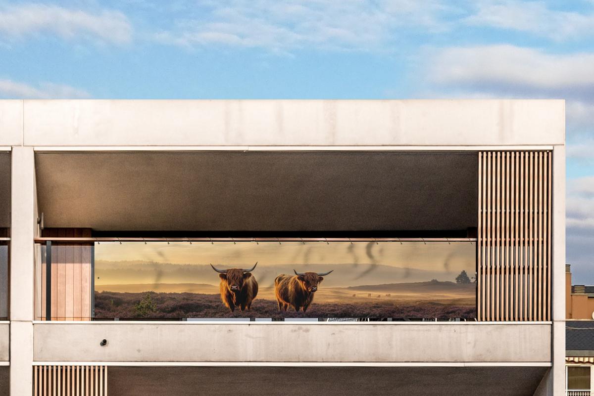 BALKON-SICHTSCHUTZ Schottische Hochlandbewohner - Heide - Landschaft - Tiere Deko XXL 500x110 cm - Cognac, Kunststoff (500/110cm) - MuchoWow