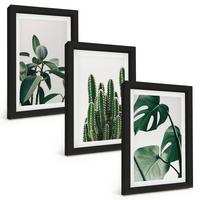 BILDER SET 3er Set - 20x30 cm Schwarzer Rahmen - Tropische ästhetische Pflanzen - Schwarz, Kunststoff (20/30cm) - TULUP