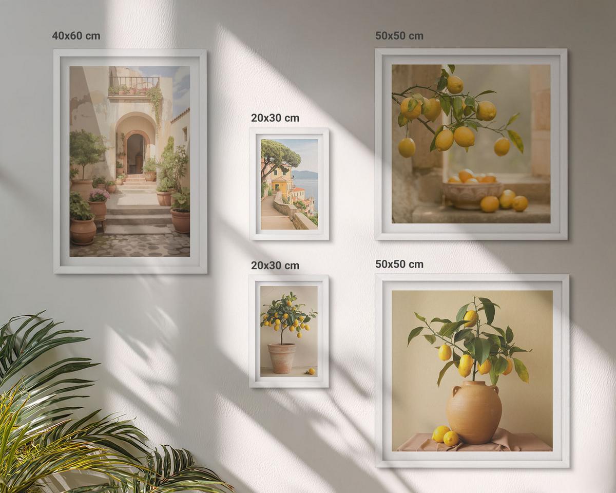 BILDER SET 5er Set - 50x50 cm & 20x30 cm & 40x60 cm Weißer Rahmen - Frische, farbenfrohe Zitrusfrüchte - Weiß, Kunststoff (40/60cm) - TULUP