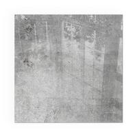 GLASPLATTE für Kamin 50x50 cm - Grau, Glas (50/50/0.4cm) - TULUP