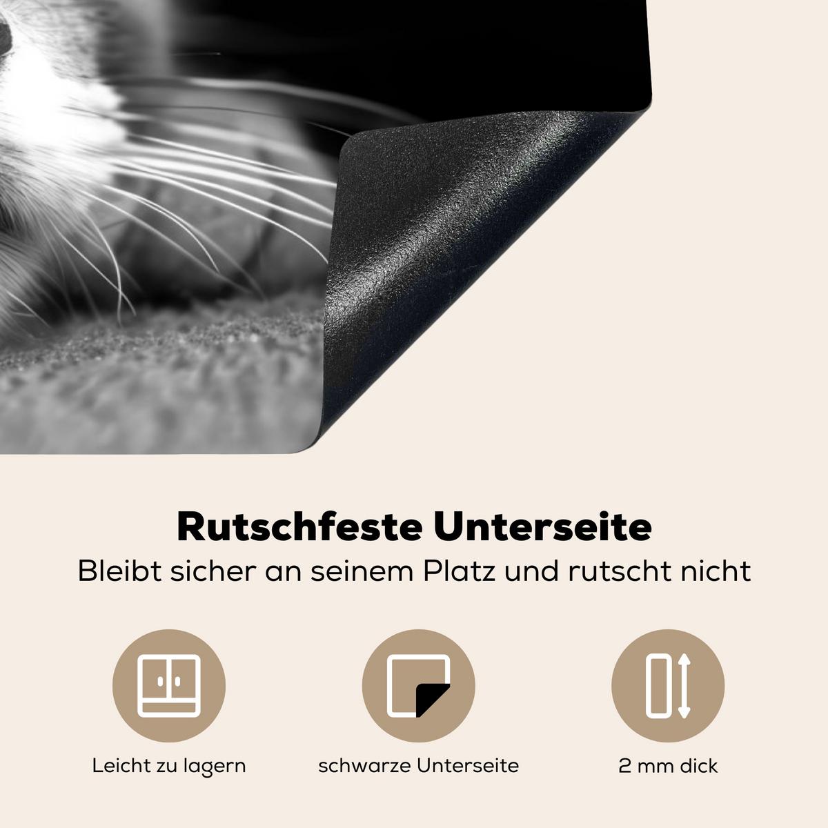 HERDABDECKPLATTE Katze - Grau - Tiere - Katze Induktionsschutz 91.2x52 cm - Grau, Kunststoff (91.2/52/0.2cm) - MuchoWow