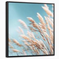 LEINWAND Bilder mit Rahmen - Ziergras - Wind - Hellbraun - 50x50 - Hellblau, Textil (50/50cm) - MuchoWow