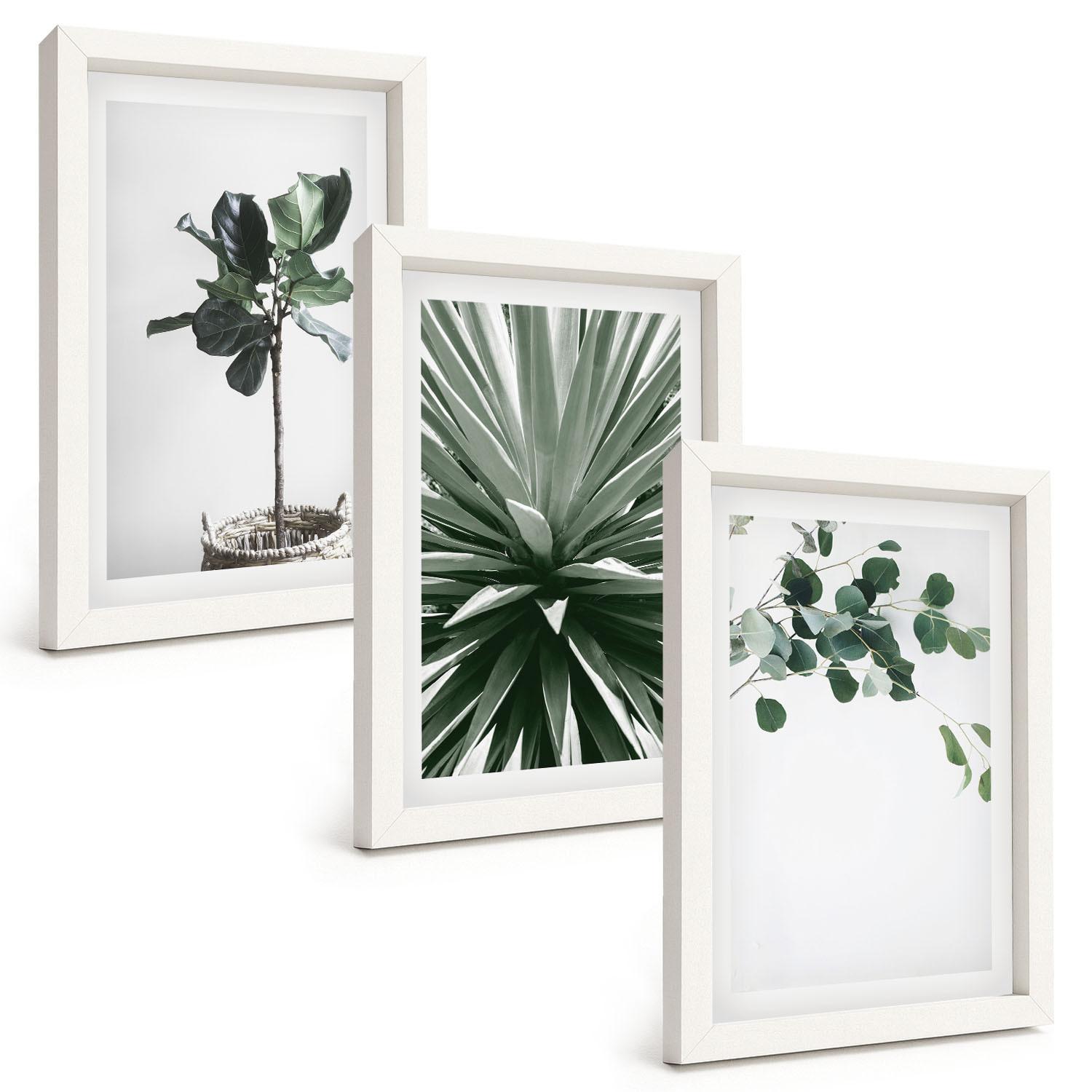 BILDER SET 3er Set - 20x30 cm Weißer Rahmen - Minimalismus mit grünen Pflanzen - Weiß, Kunststoff (20/30cm) - TULUP