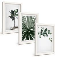 BILDER SET 3er Set - 20x30 cm Weißer Rahmen - Minimalismus mit grünen Pflanzen - Weiß, Kunststoff (20/30cm) - TULUP