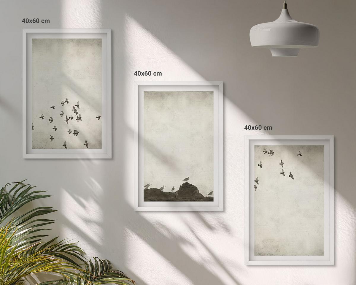 BILDER SET 3er Set - 40x60 cm Weißer Rahmen - Vögel im Flug, minimalistischer Stil - Weiß, Kunststoff (40/60cm) - TULUP