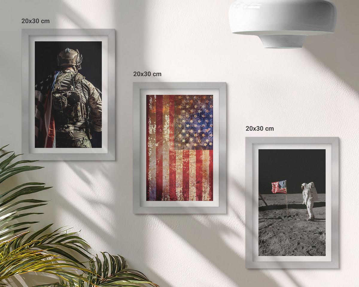 BILDER SET 3er Set - 20x30 cm Silberner Rahmen - Amerikanische Symbole, USA-Flagge - Silberfarben, Kunststoff (20/30cm) - TULUP