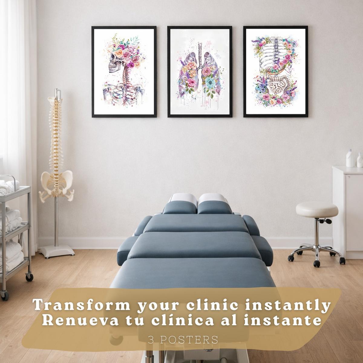 POSTER Set aus 3 Anatomie Drucke mit Skelett Schädel Wirbelsäule Rippen Lungen und Verdauungssystem Künstlerischer Größe Schwarzer Rahmen A4 - Schwarz, Papier (21/29.7/3cm) - Nacnic