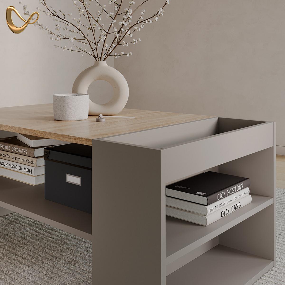 COUCHTISCH Piave Greige mit Regalen - Greige, Holzwerkstoff (55/100/42cm) - Livinity®