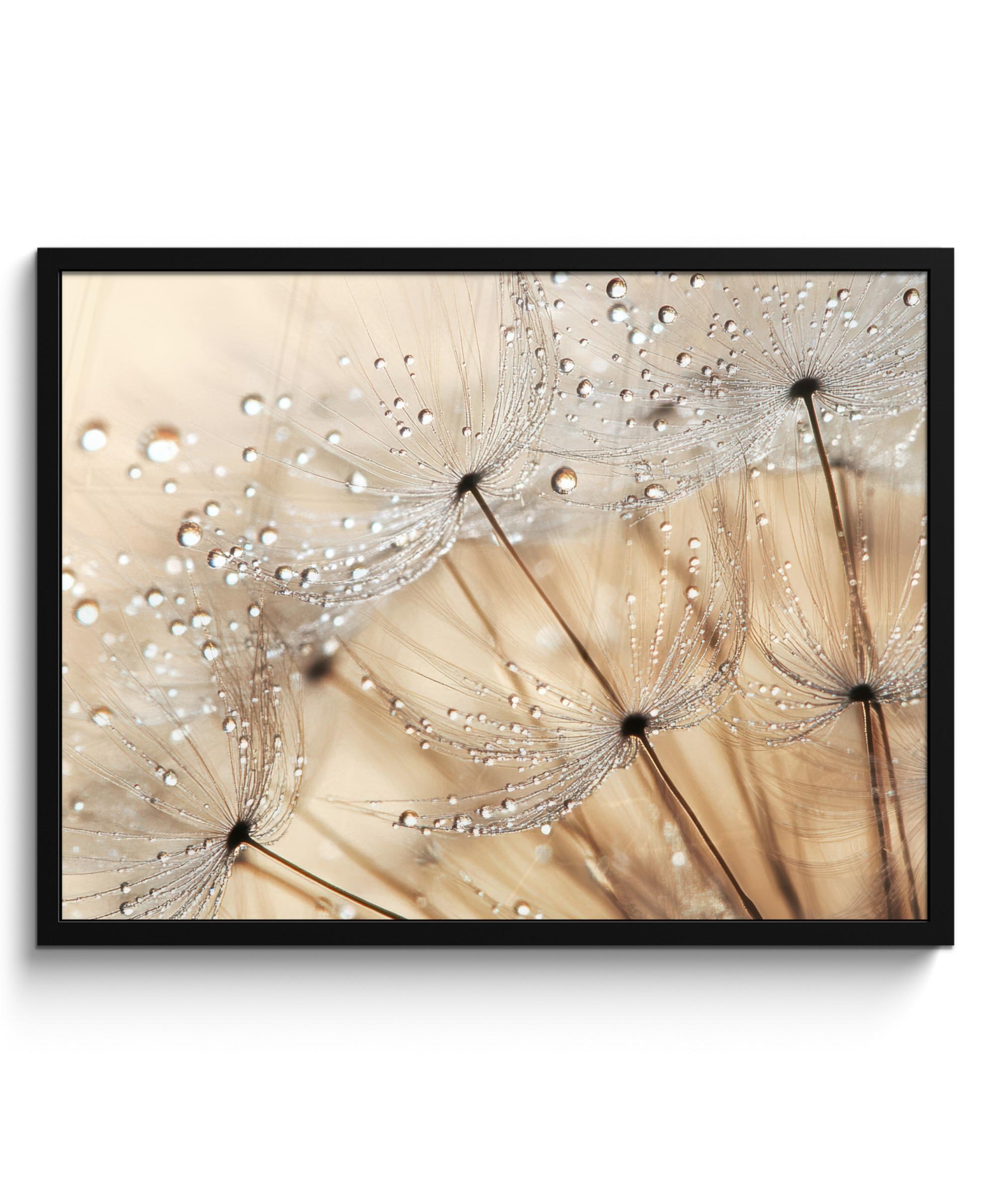 POSTER MIT RAHMENGERAHMTES BILD Löwenzahn - Abstrakt - Natur - Beige 80x60 cm - Braun, Papier (80/60cm) - MuchoWow
