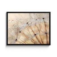 POSTER MIT RAHMENGERAHMTES BILD Löwenzahn - Abstrakt - Natur - Beige 80x60 cm - Braun, Papier (80/60cm) - MuchoWow