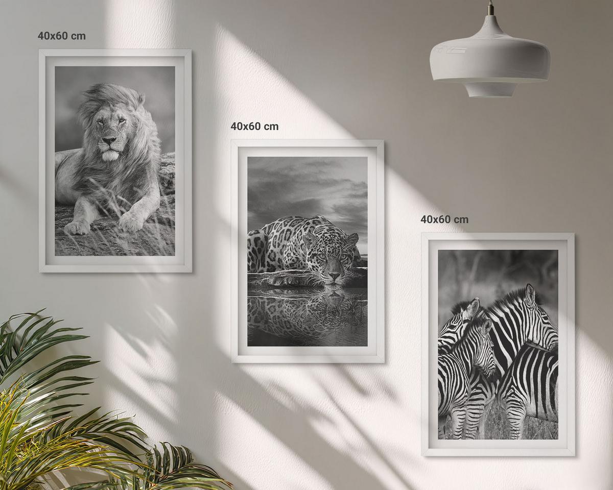 BILDER SET 3er Set - 40x60 cm Weißer Rahmen - Wildtiere der Savanne - Weiß, Kunststoff (40/60cm) - TULUP