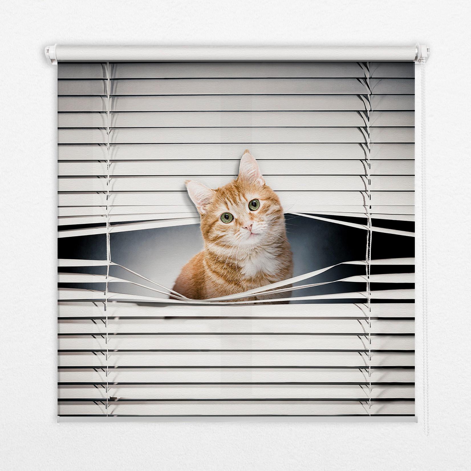 INNENROLLO - Fensterrollo - Rollo - 100x140 cm - Ingwerkatze - Grau, Kunststoff (100/140/0.5cm) - TULUP