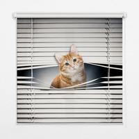 INNENROLLO - Fensterrollo - Rollo - 90x140 cm - Ingwerkatze - Grau, Kunststoff (90/140/0.5cm) - TULUP